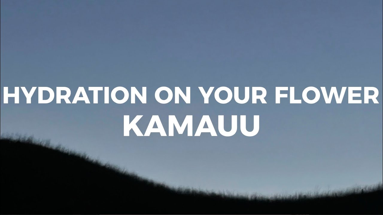 KAMAUU – Garden hydration on your flower blossom for me